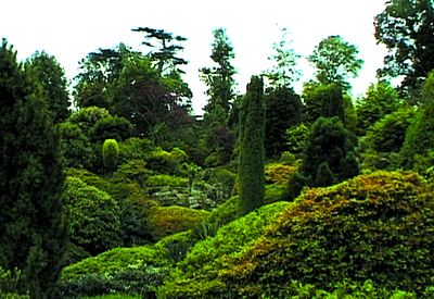 A Quiet Landscape Garden